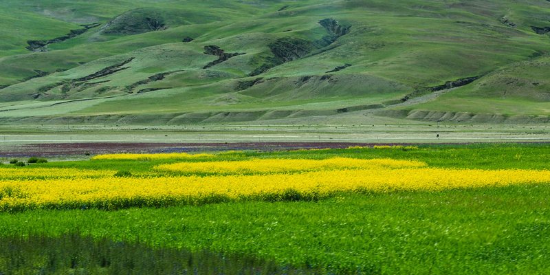 Du lịch Tây Tạng theo mùa để trải nghiệm thiên nhiên